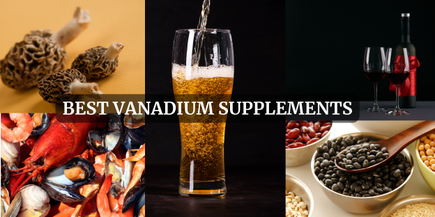 Best Vanadium Supplements-2024
