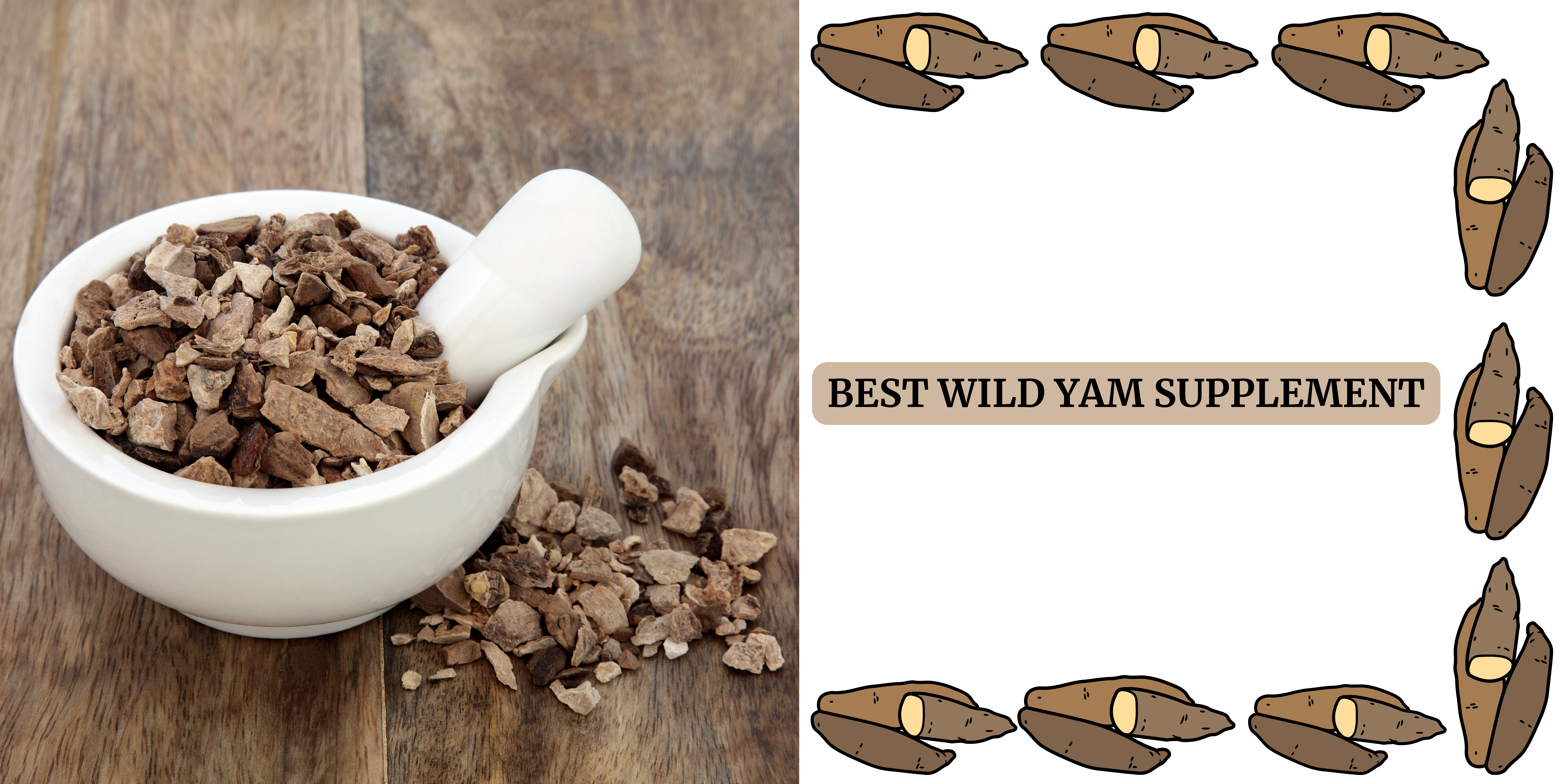 Wild Yam Supplement in the World