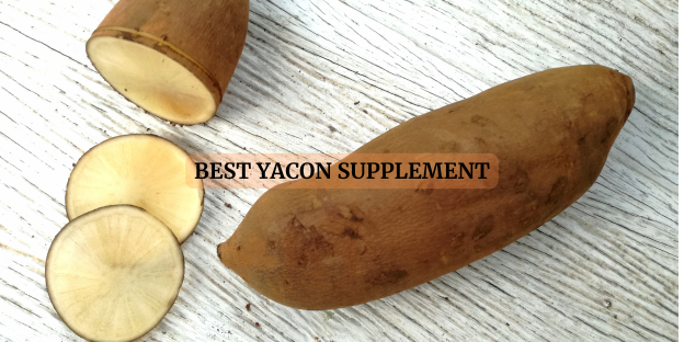 Best Yacon supplement-2024