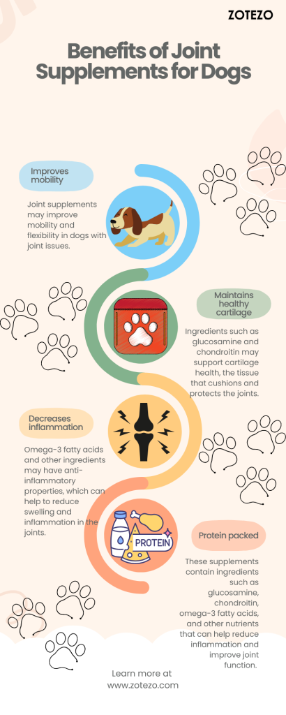 Benefits of Joint Supplements for Dogs