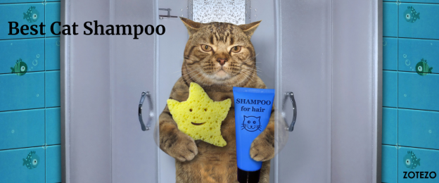 Best Cat Shampoo- 2024