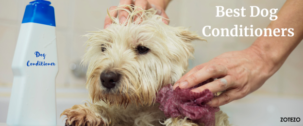 Best Dog Conditioners- 2024