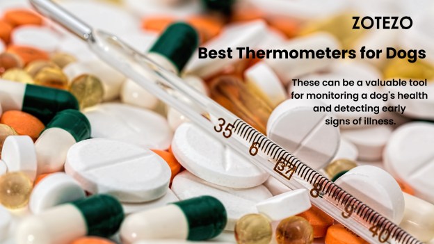 Best Thermometers for Dogs-2024