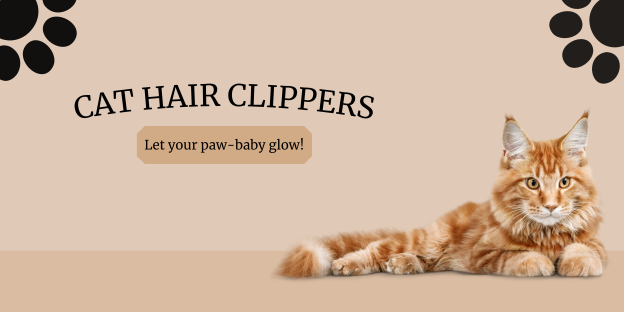 Best Cat Hair Clippers-2024